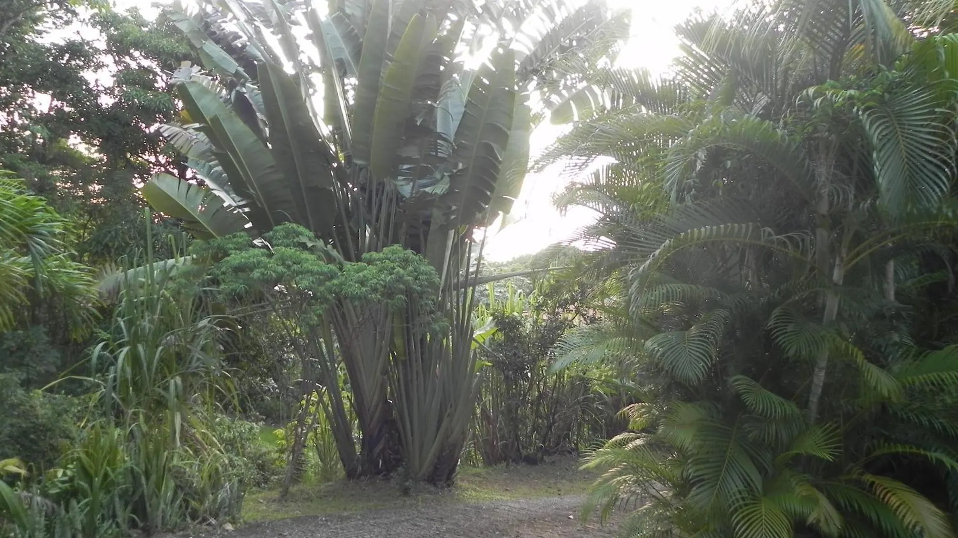 Holiday home Villa Mielecajou, Entre Mer Et Montagne Deshaies Guadeloupe